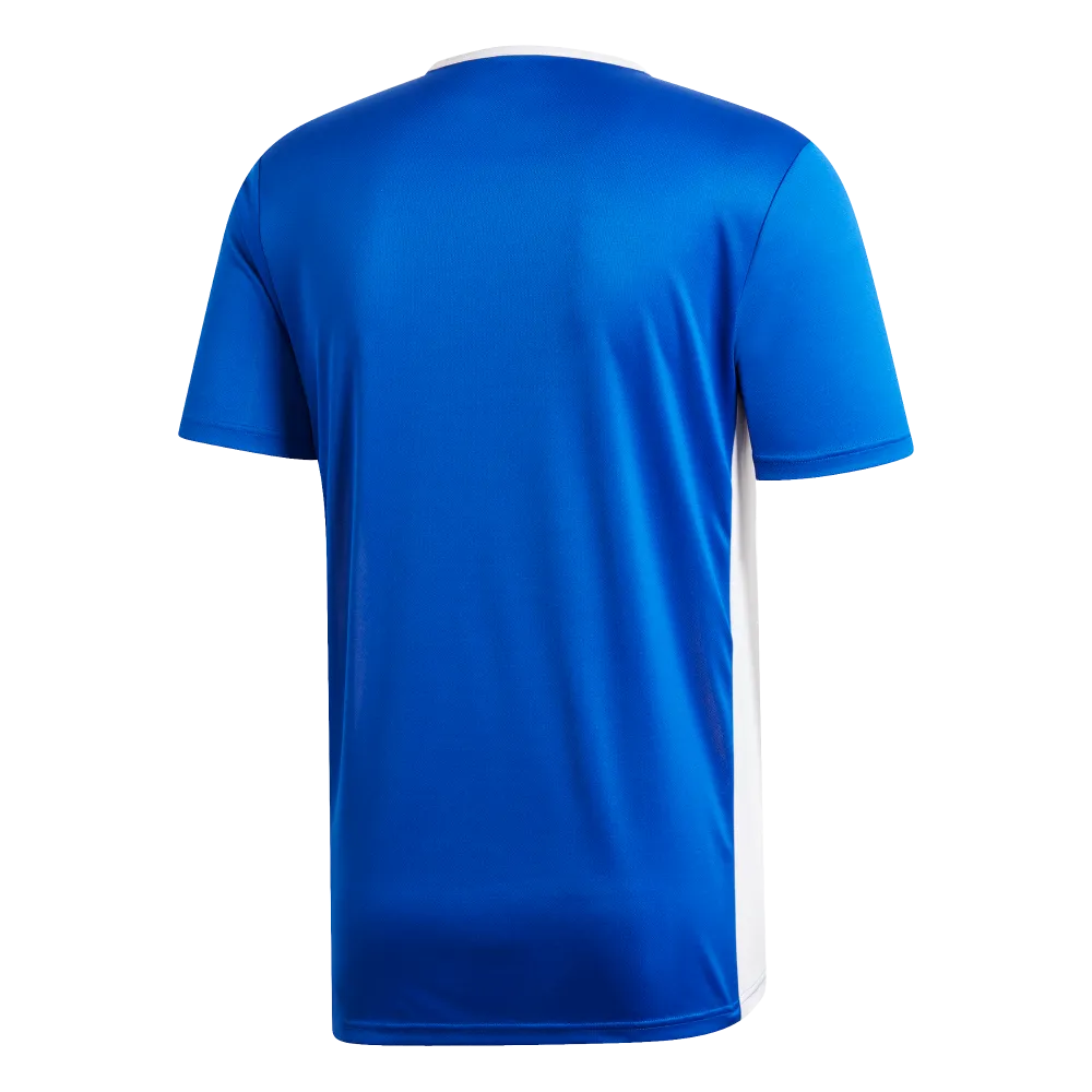 Adidas Youth Entrada 19 Jersey (Blue/White)