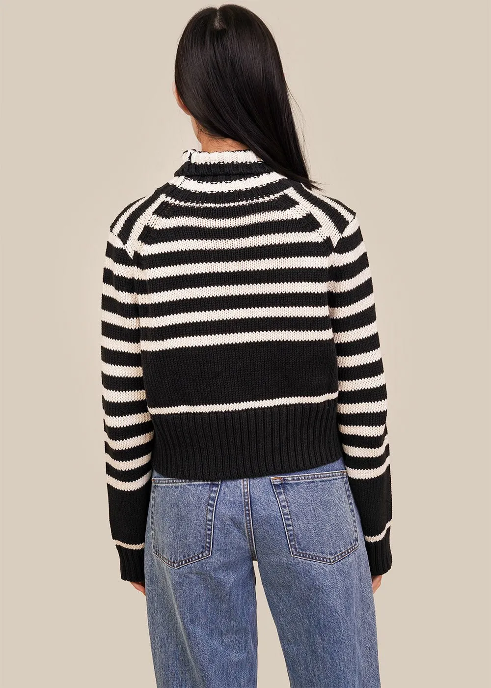 Striped Luigi Turtleneck Sweater