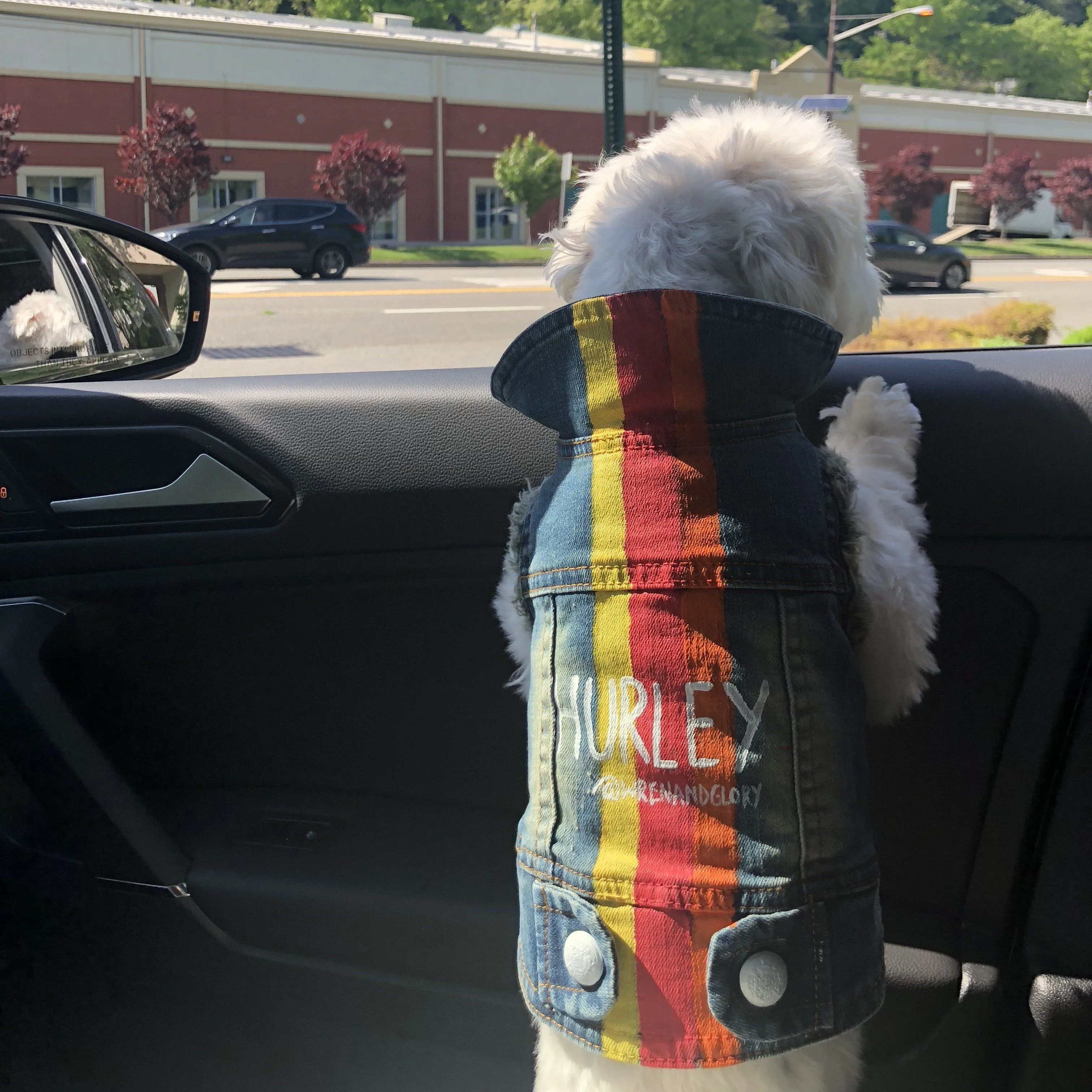 'YOUR BEST FRIEND' DENIM DOG JACKET